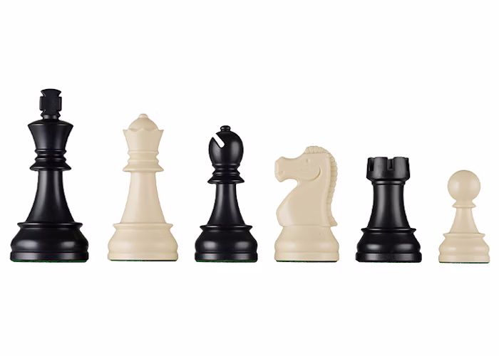 DGT Chess Pieces & Board - Chess product at ChessWorld Pakistan